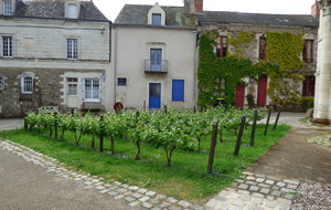 Album photo - Savennières - mardi 14 mai 2024